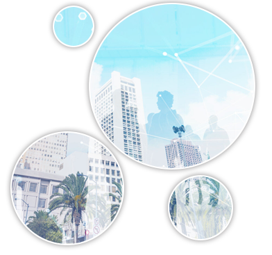 SIRIS Software Services